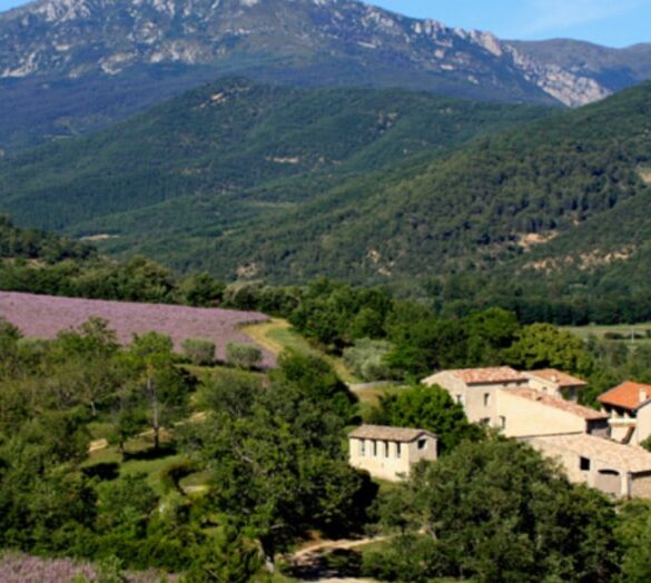 Séjour jeûne en Provence