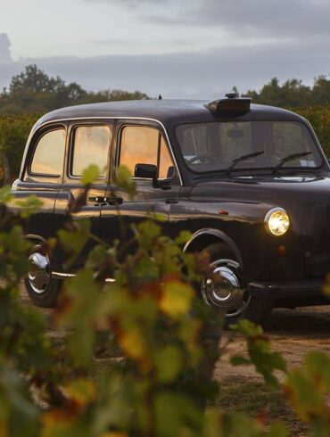 Wine Cab voiture