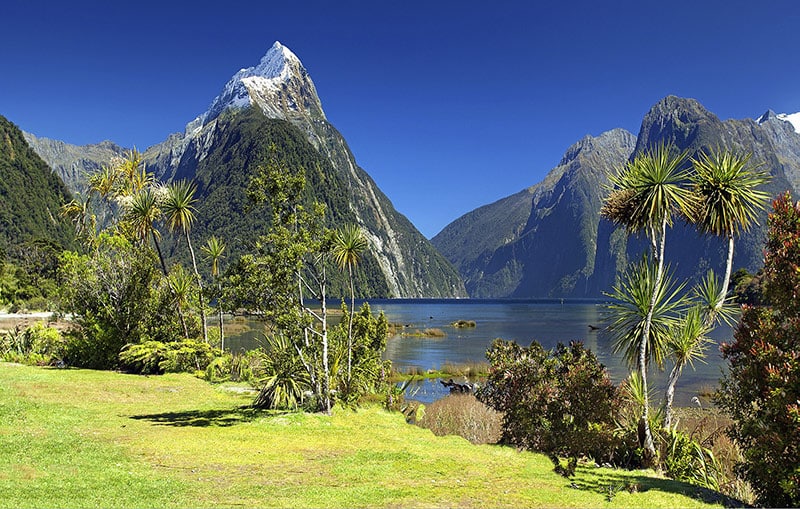 Milford Sound fjord