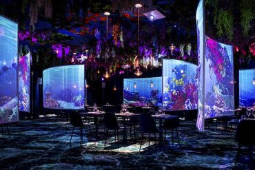 Restaurant immersif under the sea