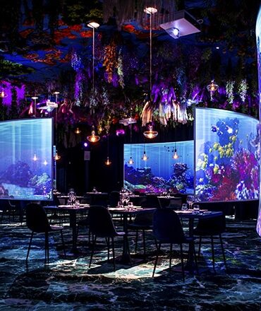Restaurant immersif under the sea