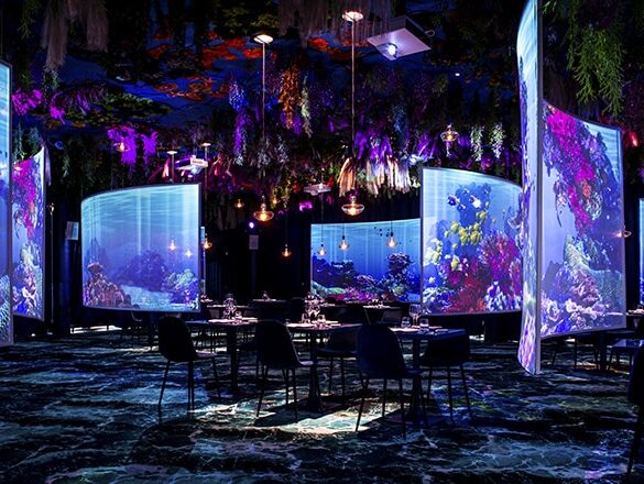 Restaurant immersif under the sea