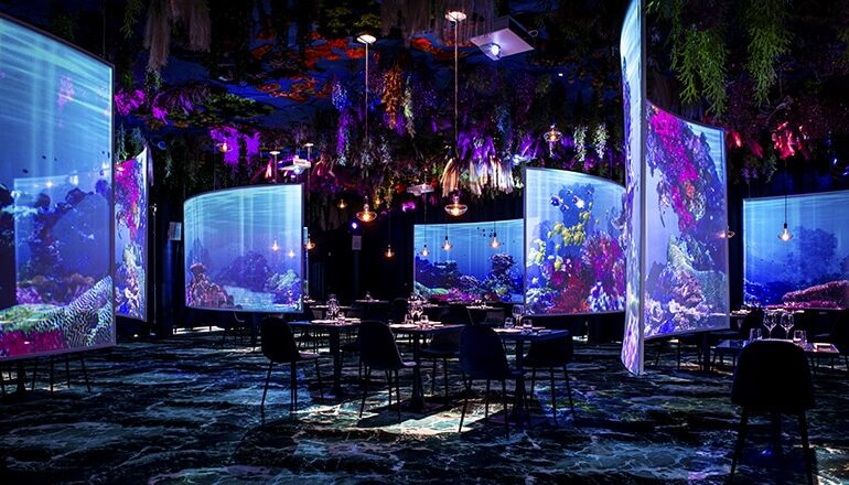Restaurant immersif under the sea