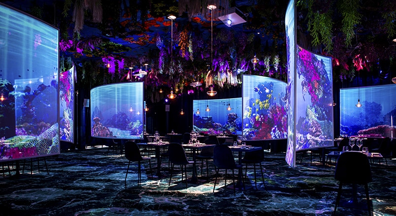 Restaurant immersif under the sea