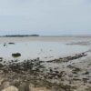 Rochefort passe île madame