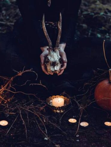Festival Bêtes et Sorcières