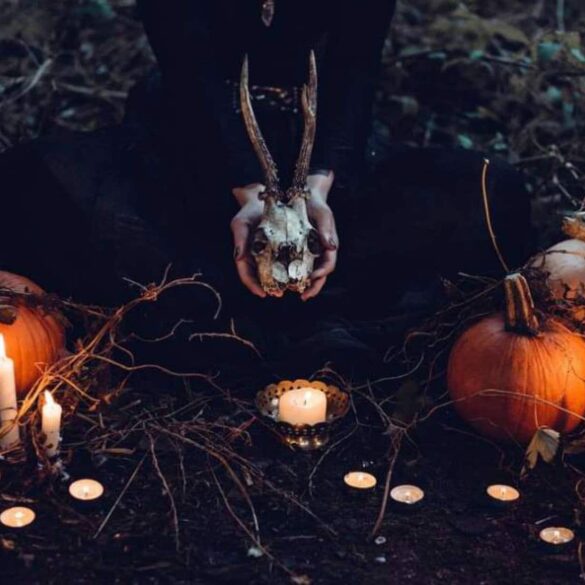Festival Bêtes et Sorcières