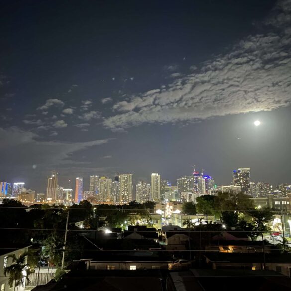 Vue sur la skyline depuis le rooftop ©Ceyliane Ratto