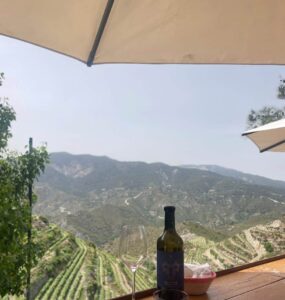 Cave à vins; Chypre 