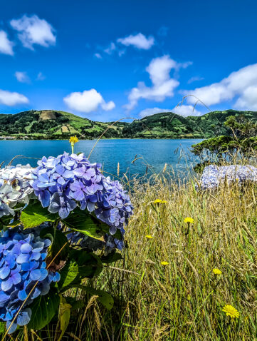 Açores