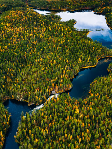 Vue aérienne de lacs et forêts au Québec pour un road trip au Canada