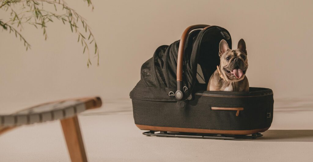 Produit Tavo Pets