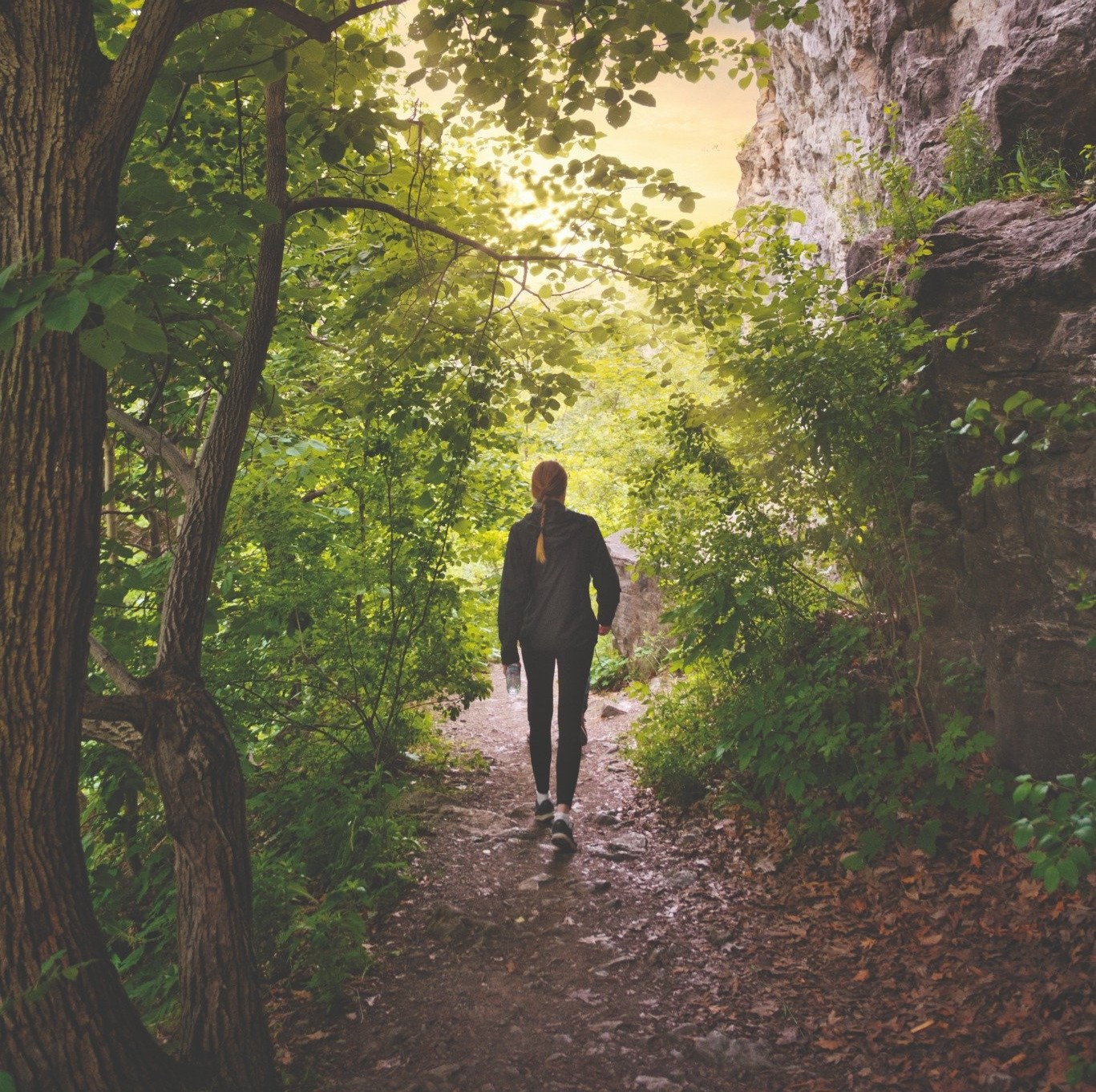 sentier de randonnee dans la foret du Niagara Glen avec vegetation dense