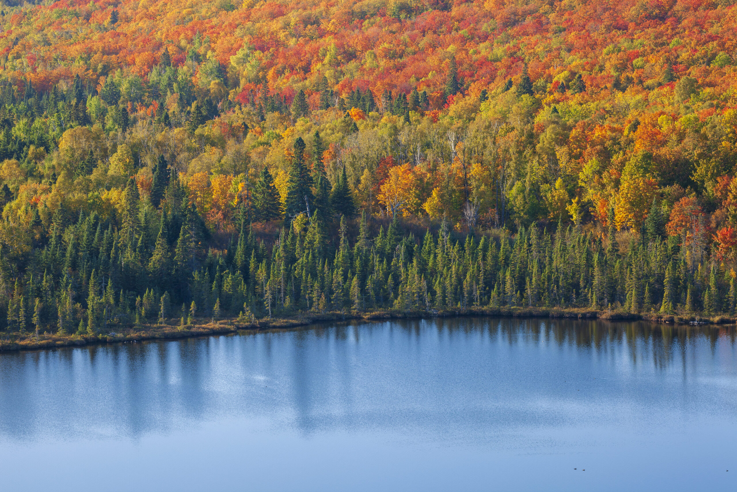 Lac entouré de forêt aux couleurs d’automne au Québec au Canada