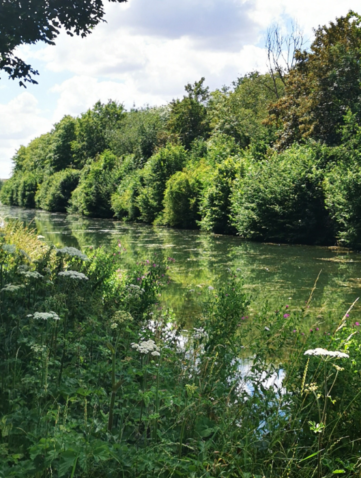 Vallée de la somme