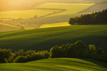 : Collines verdoyantes au coucher du soleil dans la campagne normande