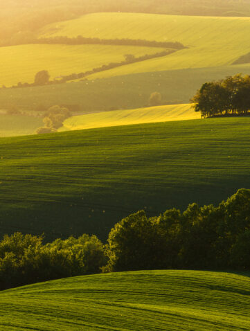 : Collines verdoyantes au coucher du soleil dans la campagne normande