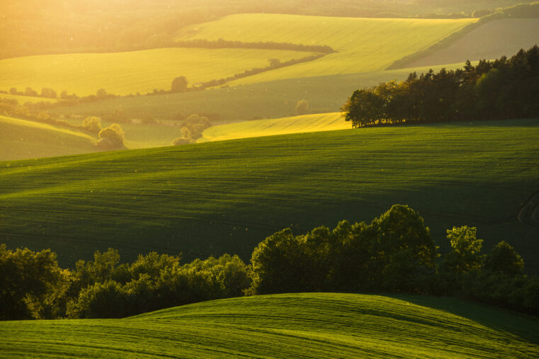 : Collines verdoyantes au coucher du soleil dans la campagne normande