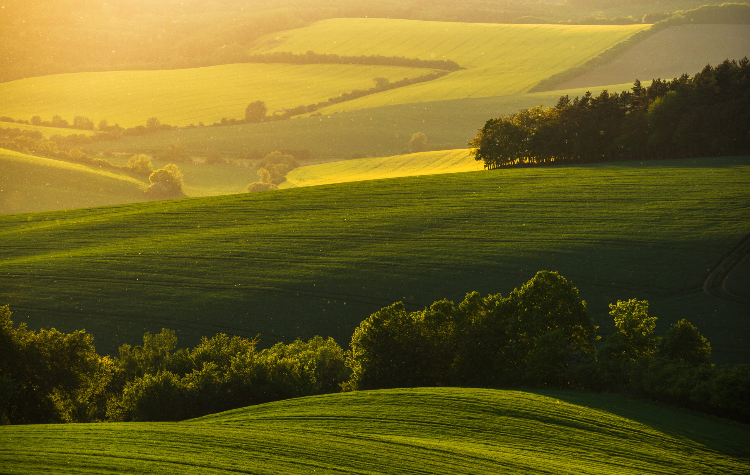 : Collines verdoyantes au coucher du soleil dans la campagne normande