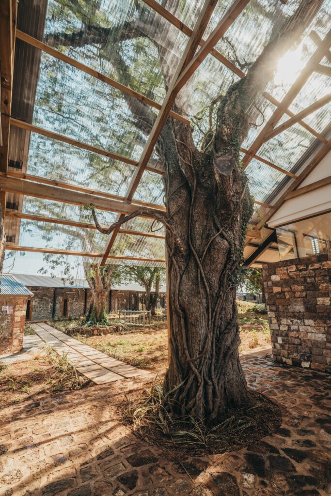 Arbre mature intégré à la structure vitrée du bâtiment, HEI Schools Mauritius