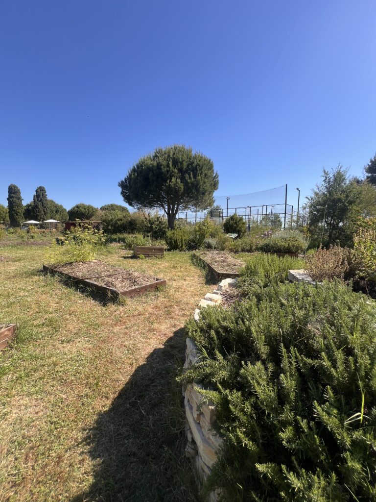 Jardin permaculture camping Les Sablons carrés potagers