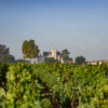 Château Pape Clément