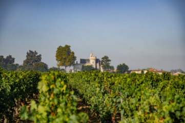 Château Pape Clément