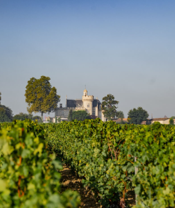Château Pape Clément