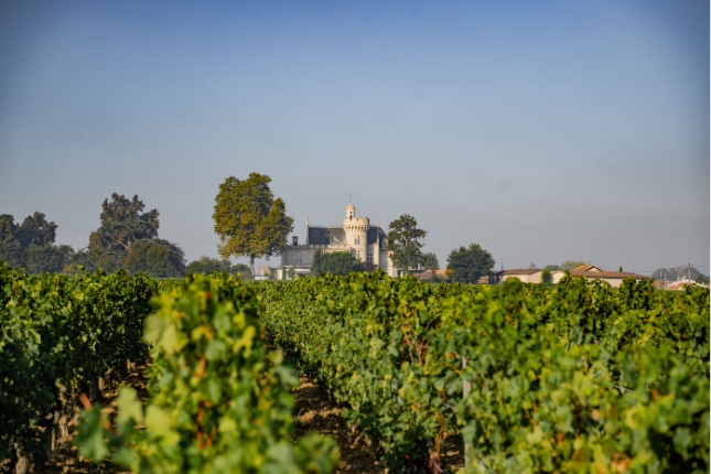 Château Pape Clément