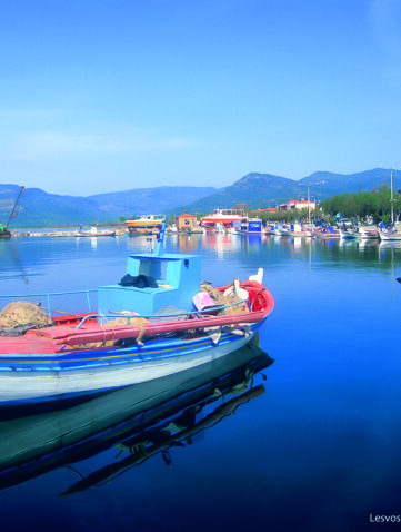 Bateaux colorés au port de Skala Kallonis, Lesbos, Grèce