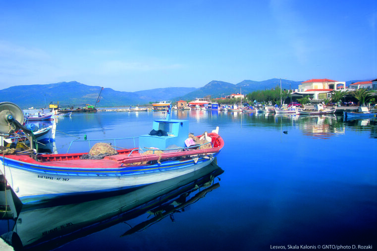 Bateaux colorés au port de Skala Kallonis, Lesbos, Grèce