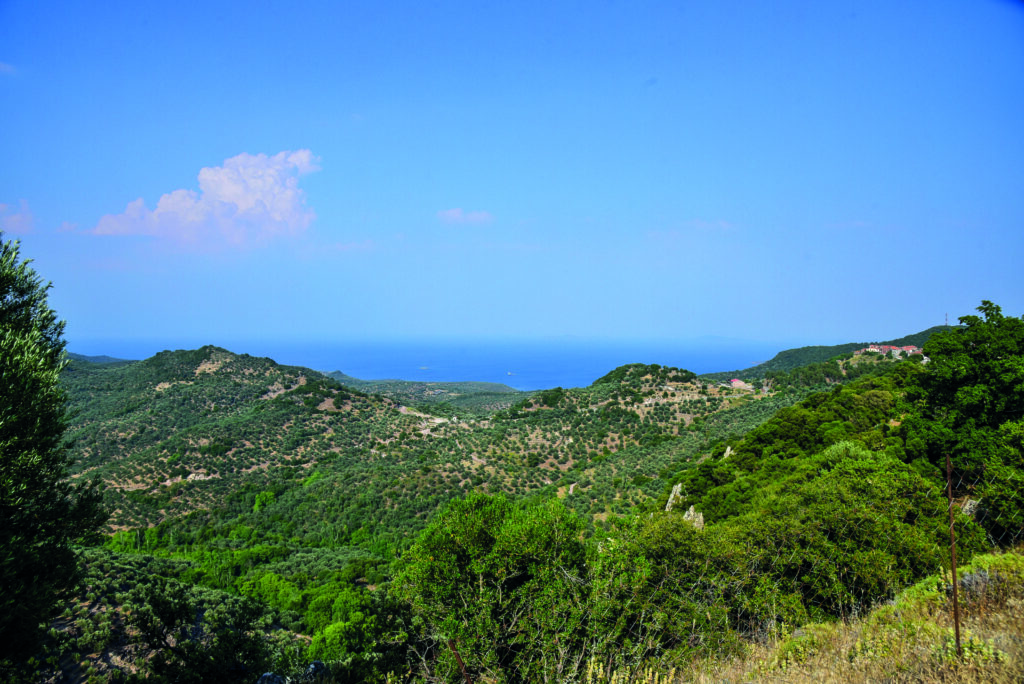 Paysage verdoyant de l’île de Lesbos avec vue sur la mer Égée