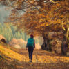 promenades d’automne