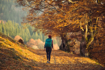 promenades d’automne