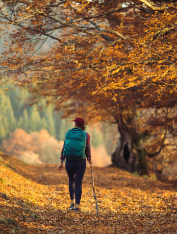 promenades d’automne