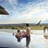 Couple dans une piscine de lodge face à une girafe, réserve de Madikwe, Afrique du Sud