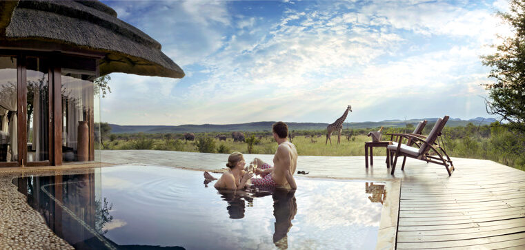 Couple dans une piscine de lodge face à une girafe, réserve de Madikwe, Afrique du Sud