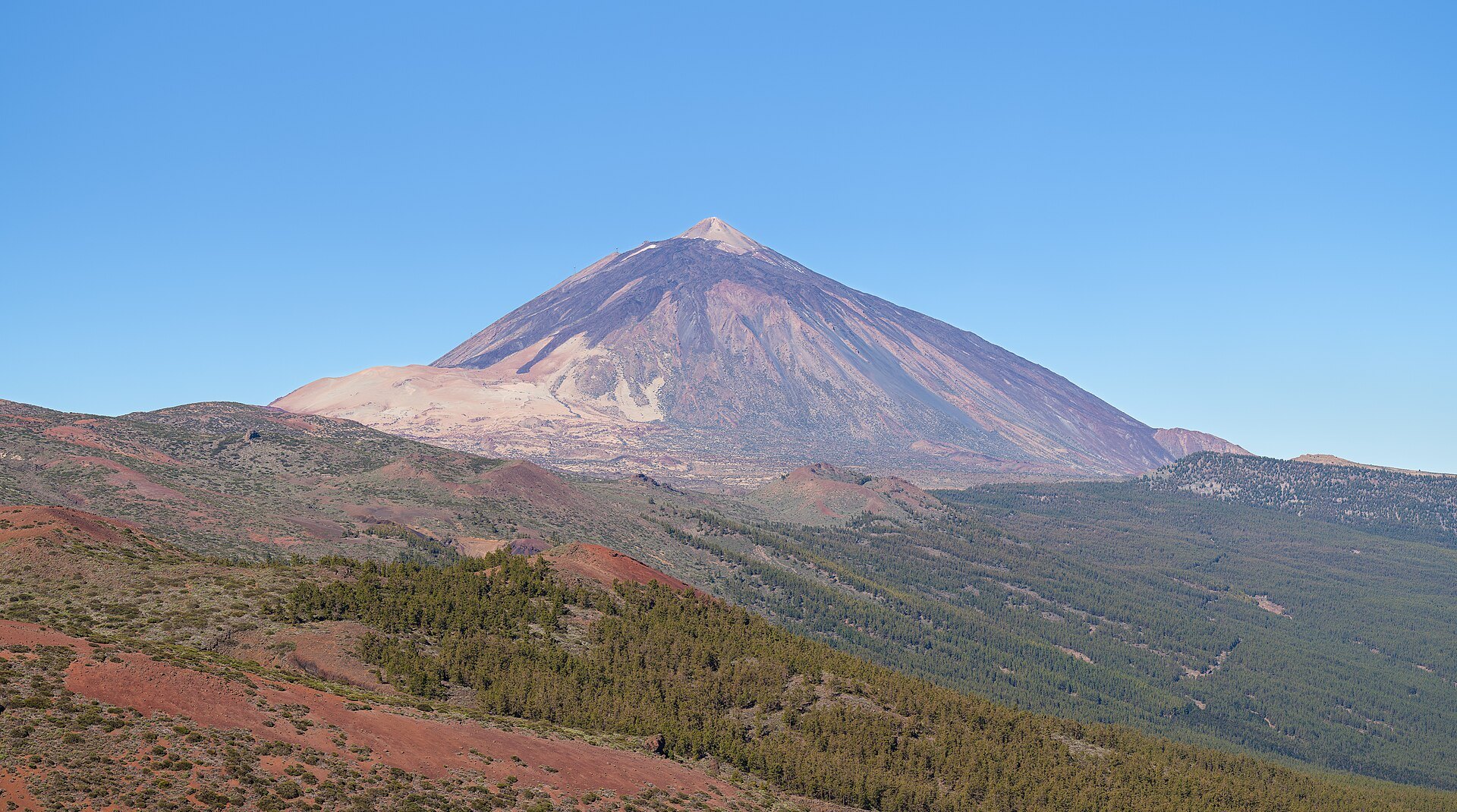 Le Teide dominant des forêts de pins à Tenerife
