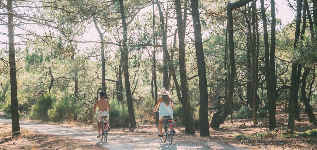 Deux cyclistes sur une allée sous les pins du domaine Euronat, en Gironde