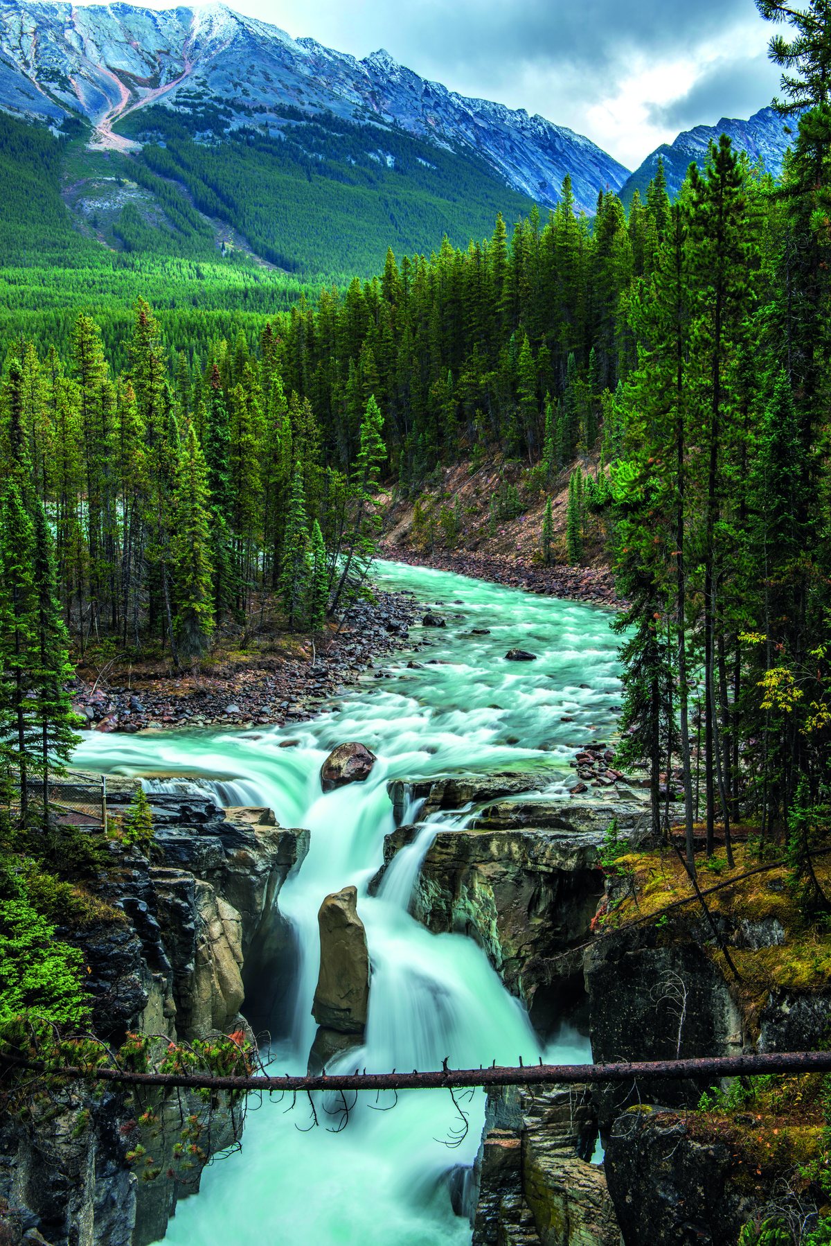 Chutes Sunwapta, eau turquoise entre des parois rocheuses et une forêt de conifères